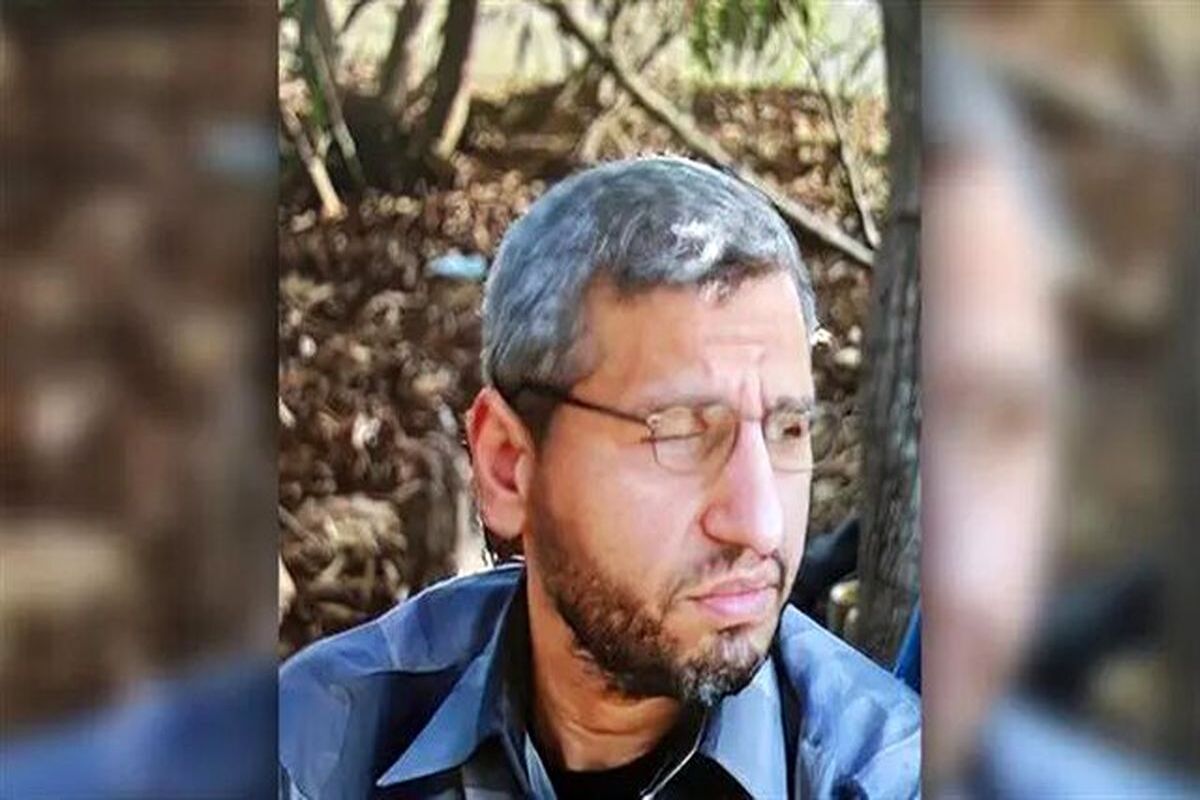 محمد ضیف
