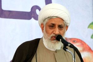 کسانی که توانایی اداره‌ منزل خود را هم ندارند وارد انتخابات نشوند