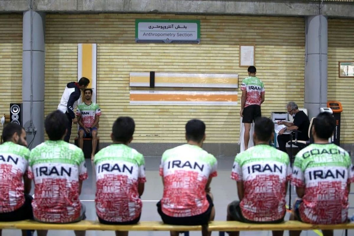 فدراسیون اسکیت