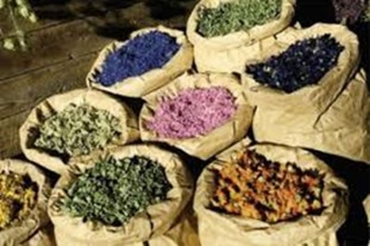گل گاوزبان