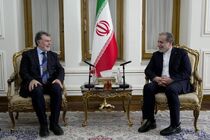 دیدار سفیر ترکیه با عراقچی 