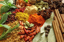 توسعه کشت گیاهان دارویی در اراضی شیبدار جلوی فرسایش خاک می گیرد
