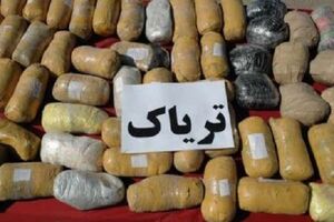 کشف بیش از ۷۰۰ کیلوگرم تریاک در بندرلنگه