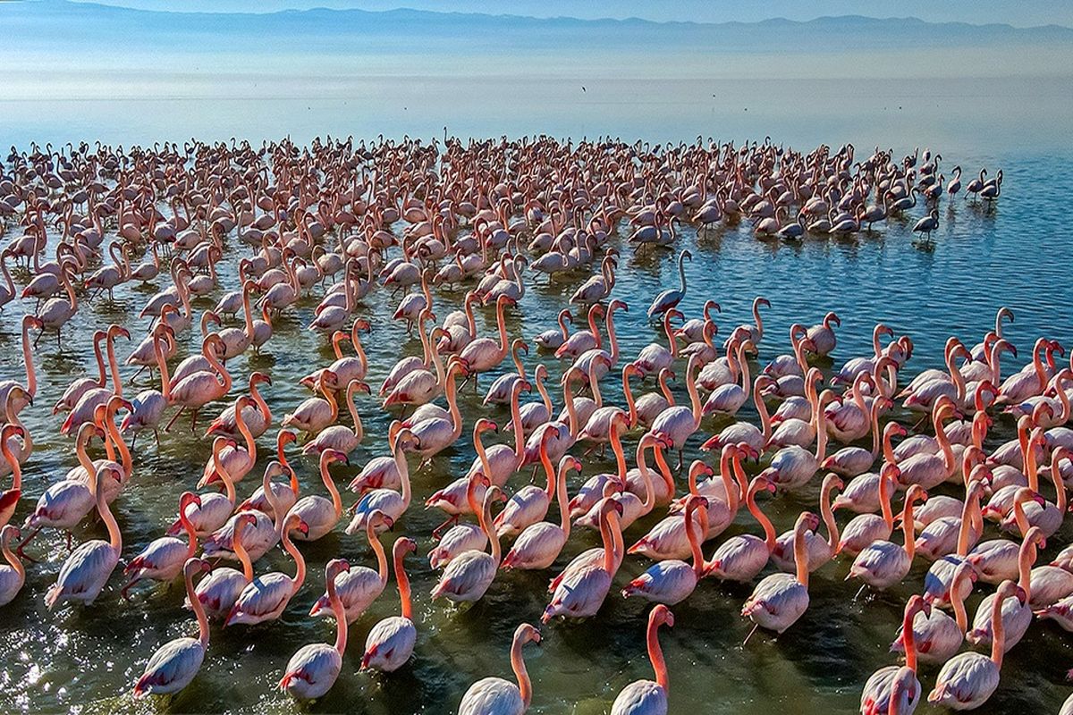 تالاب مازندران