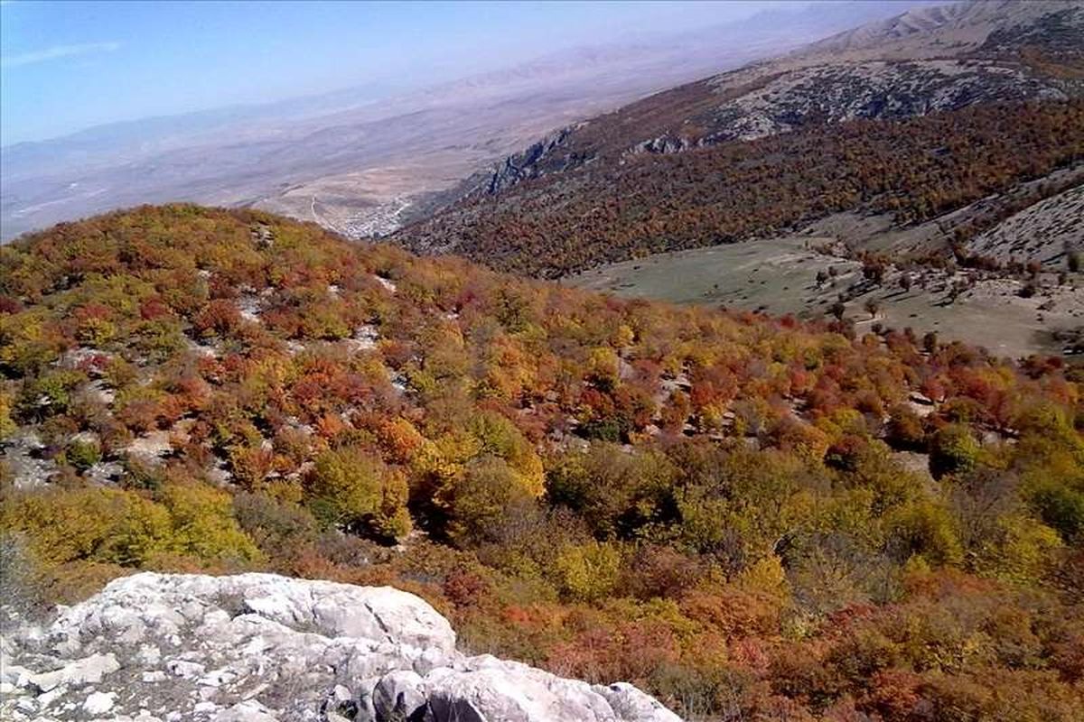 جنگل و آبشار نام نیک