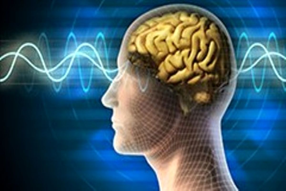 مغز و اعصاب