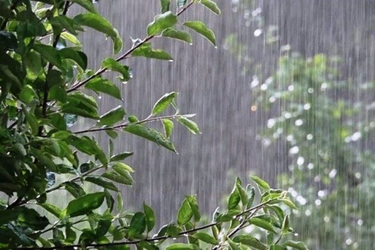 بارندگی 
