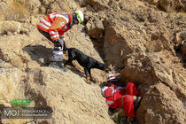 مانور مشترک سگ‌های آنست هلال احمر ایران و صلیب سرخ آلمان