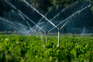 یک هزار و ۲۴۴ هکتار از اراضی کشاورزی استان قزوین به سامانه نوین آبیاری مجهز شد