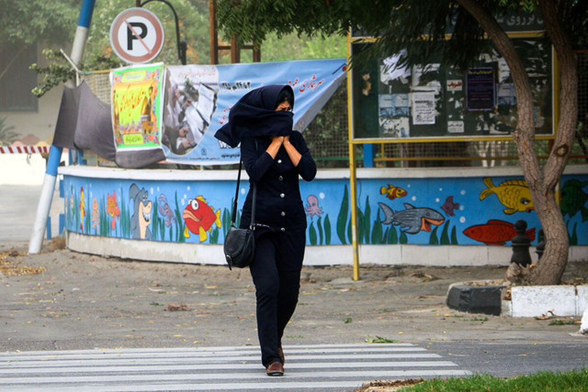 هوادی بادی