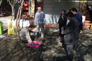 اجرای طرح تجمیع خدمات بهداشتی رایگان دامپزشکی در لنگرود