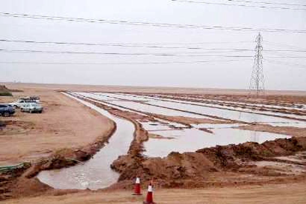 مقابله با ریز گردها