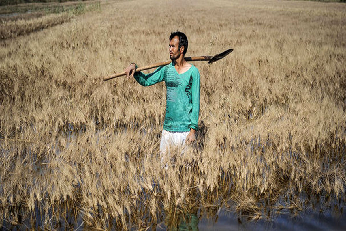 خراسان رضوی