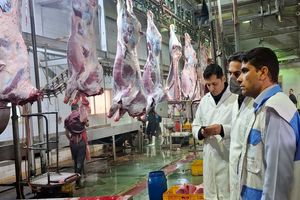 مصرف گوشت قرمز غیر مجاز، تهدیدی جدی برای سلامت شهروندان است