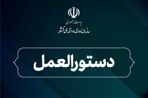 دستورالعمل استقرار نظام معماری سازمانی چابک با رویکرد تحول رقومی ابلاغ شد