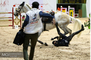 جشنواره ملی اسب‌ تهران