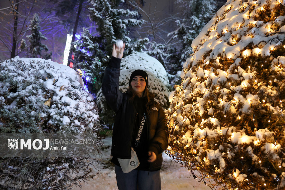 شب برفی تهران