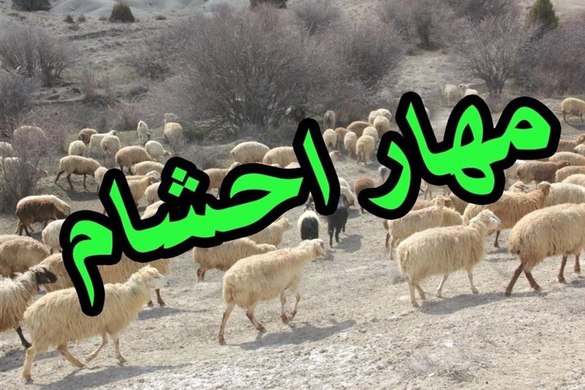 دامپزشکی