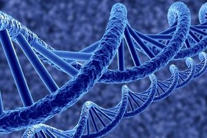 درمان نابینایی ناشی از سکته مغزی با ژن‌درمانی جدید