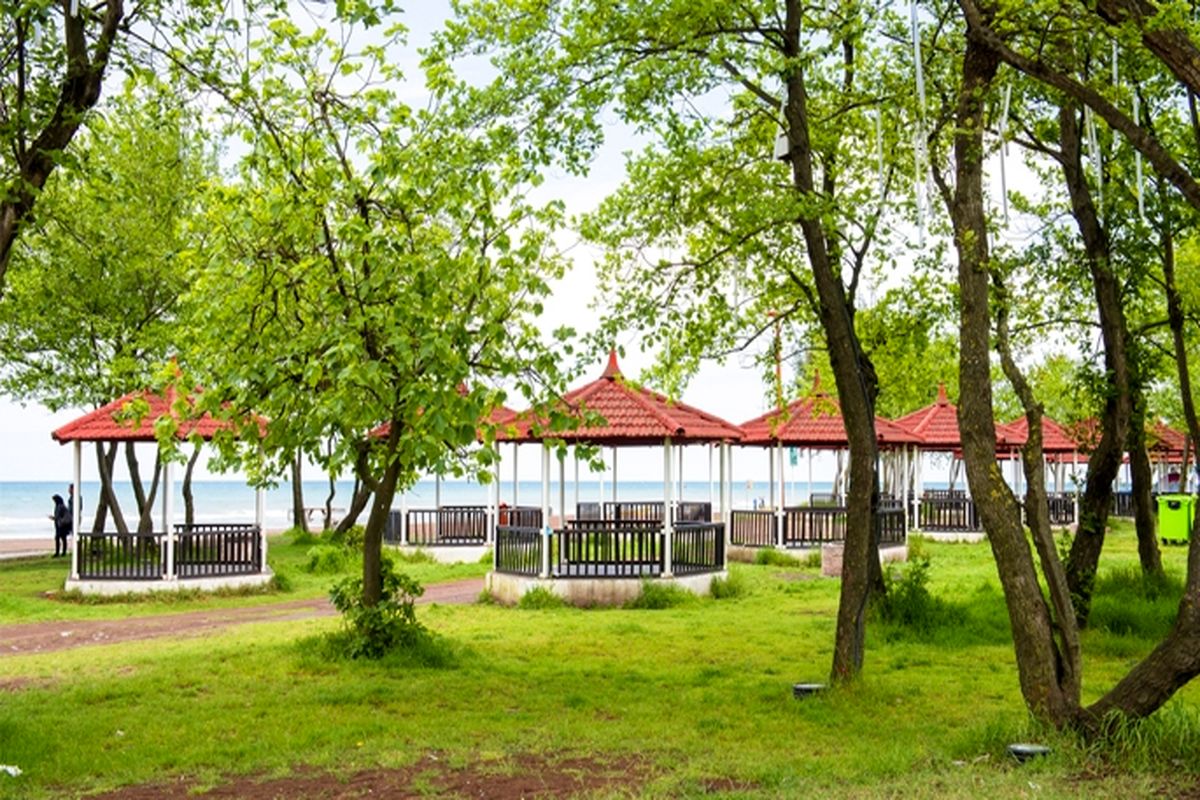 توسعه فضای سبز منطقه آزاد انزلی