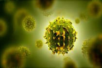 بستری 33 بیمار جدید مبتلا به کرونا در مراکز درمانی اردبیل 