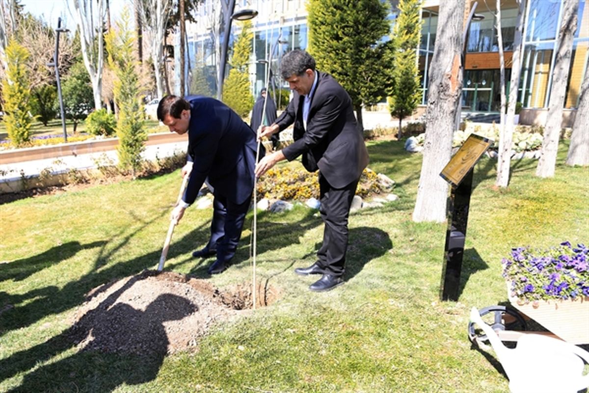 کشاورزی