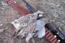 دستگیری متخلفان شکار پرندگان در فریدونشهر