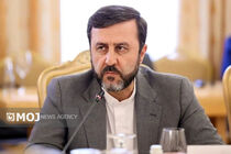 قطعنامه ۲۲۳۱ باید کامل و نه گزینشی اجرا شود