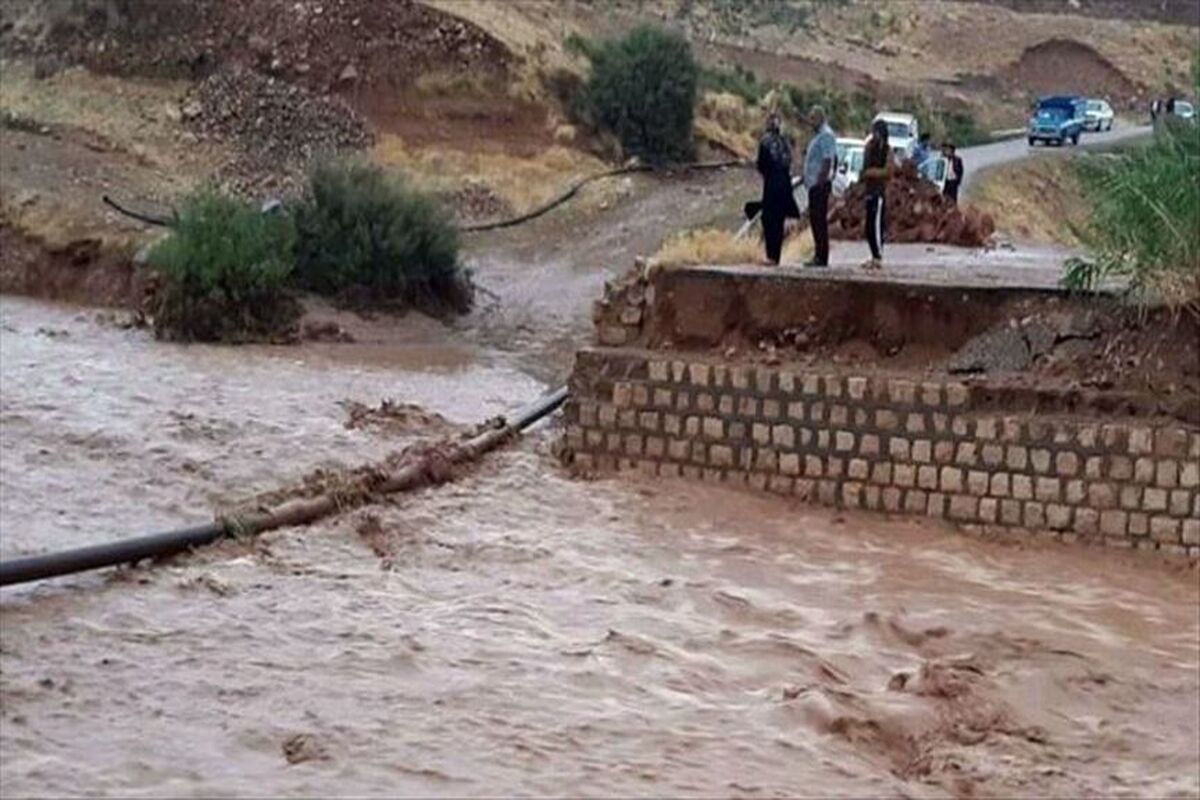 سیل جاسک