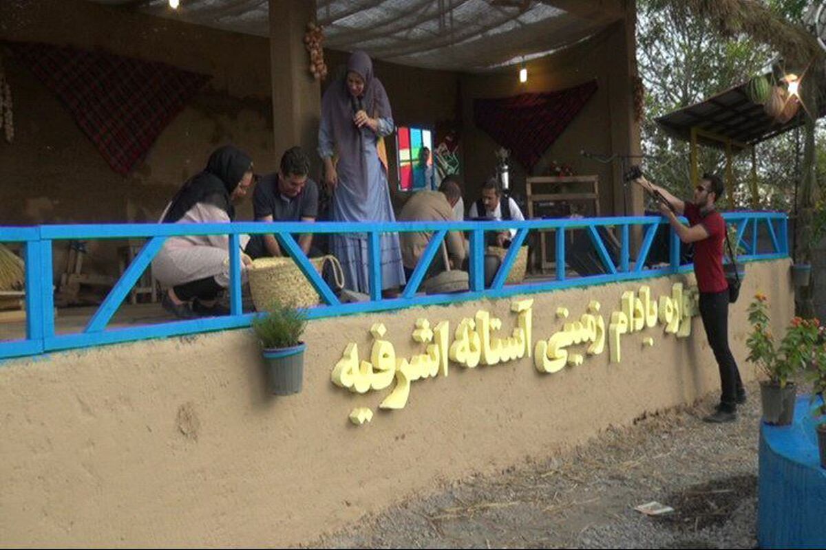 جشنواره بادام زمینی