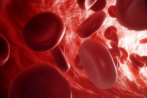 آزمایش خون برای پیش‌بینی زودهنگام زوال عقل