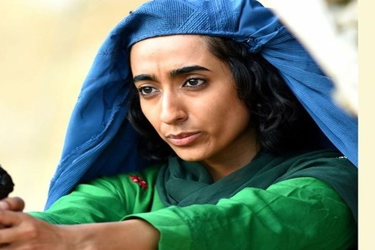 سگ‌ها دیشب نخوابیدند