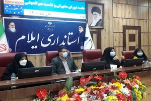 از ظرفیت زنان ایلام باید برای توسعه استان استفاده  شود