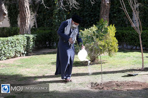 کاشت نهال توسط رهبر معظم انقلاب