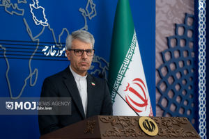 بی‌عملی شورای امنیت در قبال اقدامات رژیم اسرائیل بسیار خطرناک است