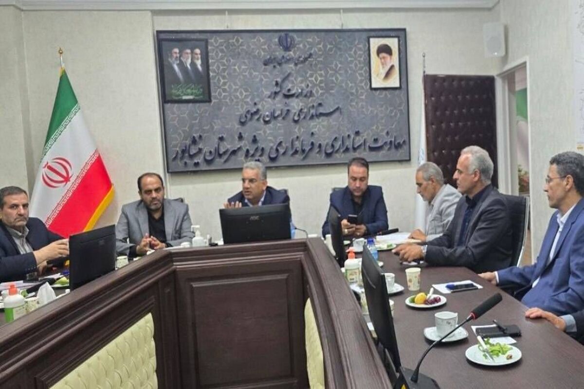 مجید صرفی معاون وزیر تعاون