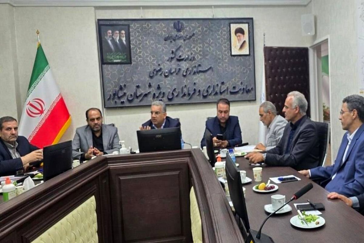 مجید صرفی معاون وزیر تعاون