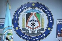 فرمانده ارشد تروریست های طالبان به هلاکت رسید