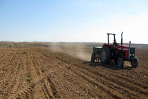 آغاز کشت پاییزه گندم و جو در مزارع بخش جلگه رخ