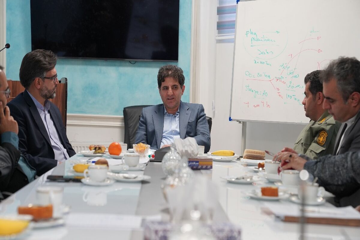 هلدینگ