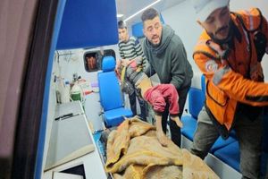 شهدای غزه به ۴۸ هزار و ۱۸۹ نفر رسید