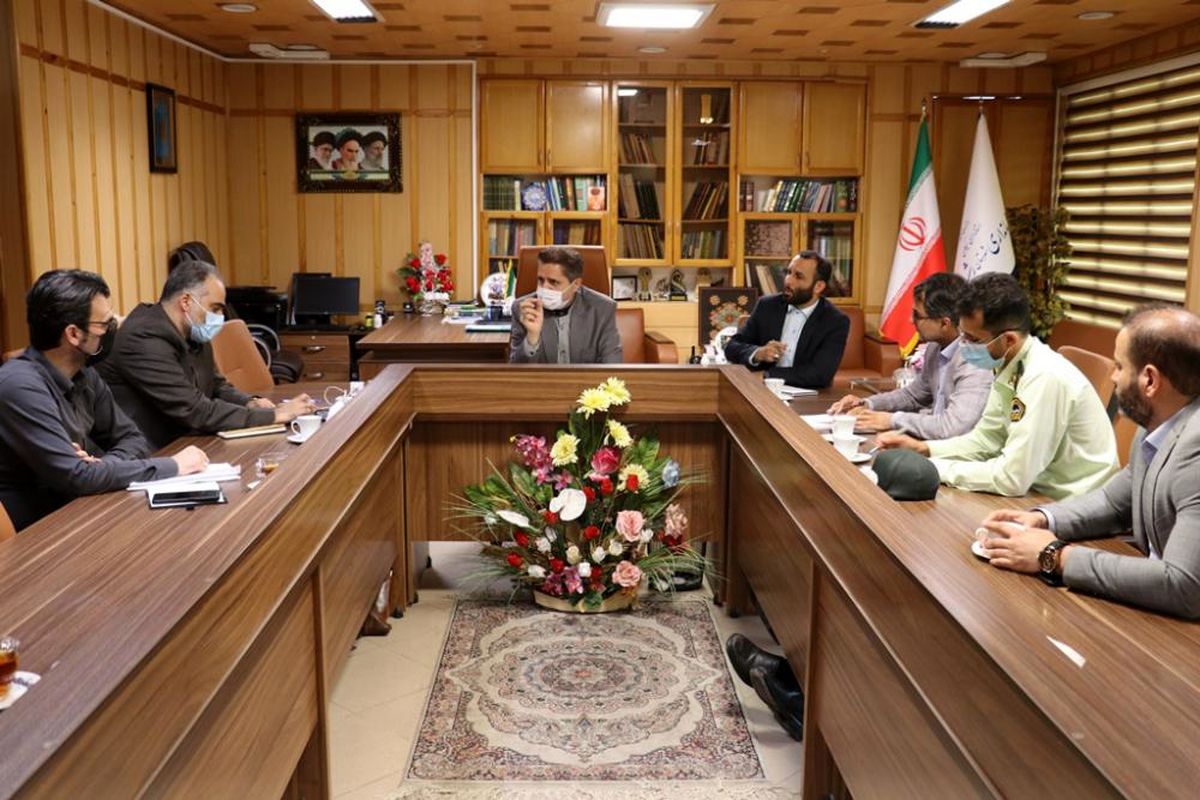 ساماندهی سگ های ولگرد