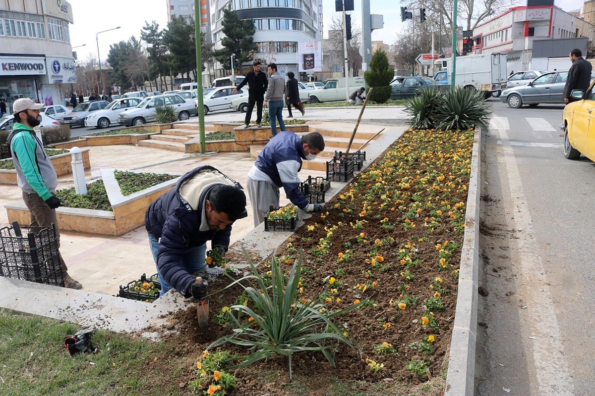 زیبا سازی بلوار توحید سنندج