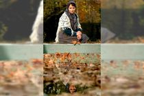 حضور پروین اعتصامی در جشنواره فیلم فجر امسال