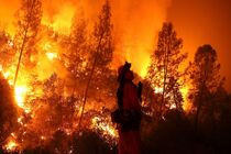 Wildfires cover nearly 850,000 hectares in Siberia