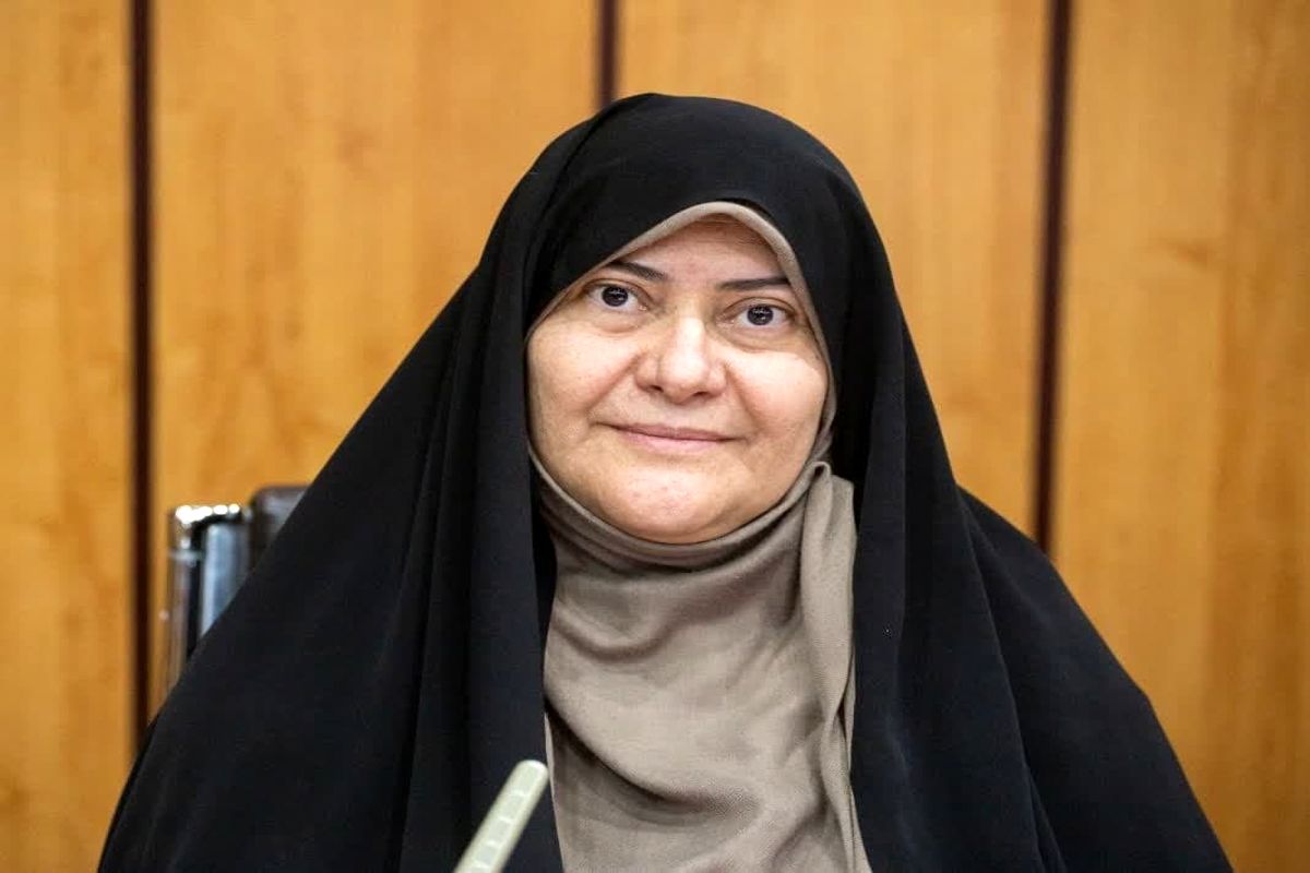 اشدری شورای شهر (2)